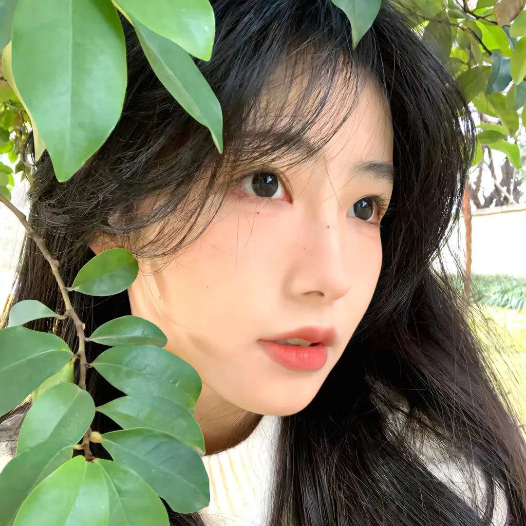 黑白姊妹