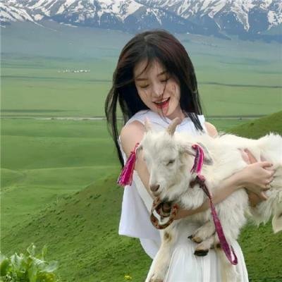 谜样的情人