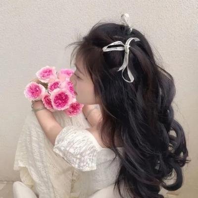罗伯特·布鲁斯